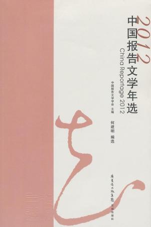 当务之急:2014-2017年中国的最大风险 书籍 商