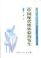 中国现代性体验的发生/文化与诗学丛书