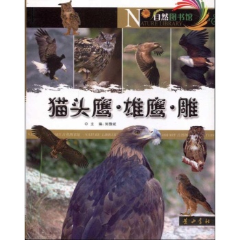 猫头鹰.雄鹰.雕 