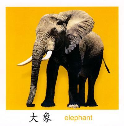 0-3岁宝宝早教卡2-主编:蓝山-图书-文轩网