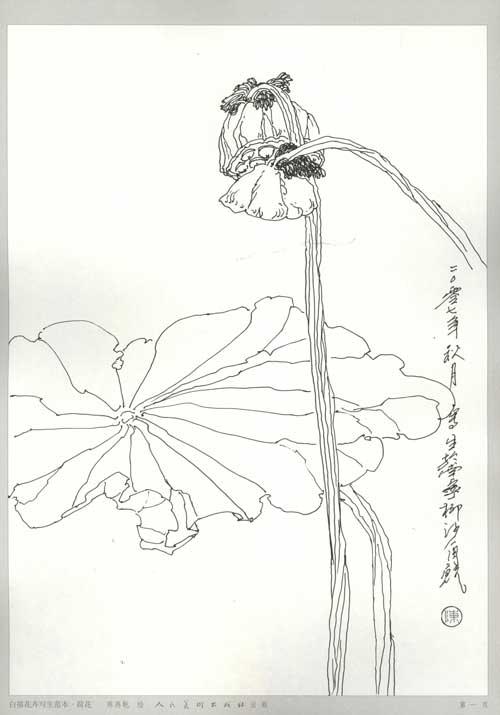 白描花卉写生范本·荷花