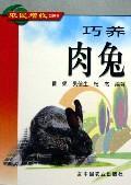 巧养肉兔//农民增收口袋书