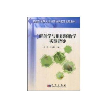 解剖学与组织胚胎学实验指导 