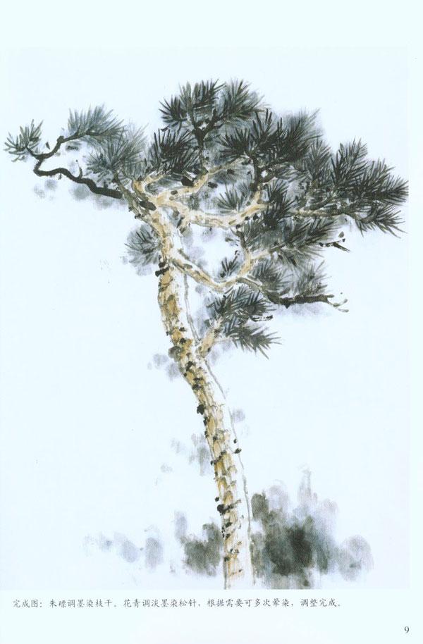 国画入门训练新编\/松简介,国画入门训练新编\/松