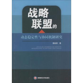 战略联盟的动态稳定性与协同机制研究