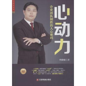 心动力:企业团队制胜的人心密码