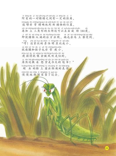 注音版法布尔昆虫记霸王镰刀手螳螂,摇篮入侵者寄生蜂(美绘本)