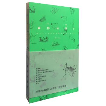 森林的孩子