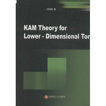 KAM Theory for Lower - Dimensional Tori