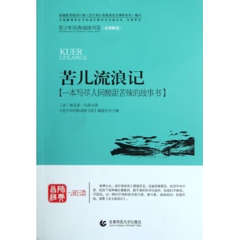 苦儿流浪记 
