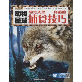 动物星球•物竞天择:高超的捕食技巧/动物星球