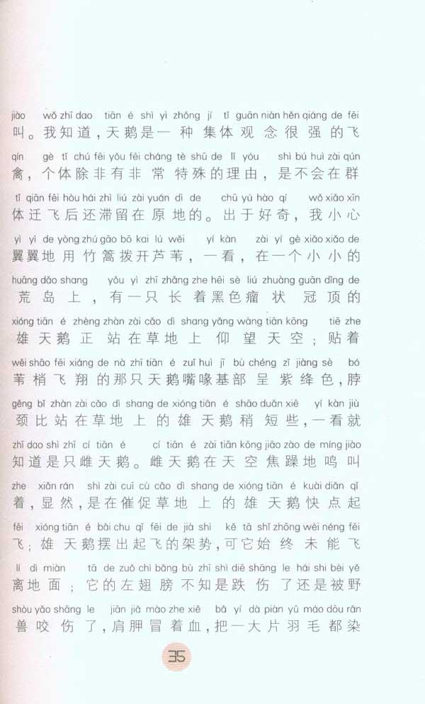 金丝猴\/沈石溪动物小说拼音版 简介,金丝猴\/沈石