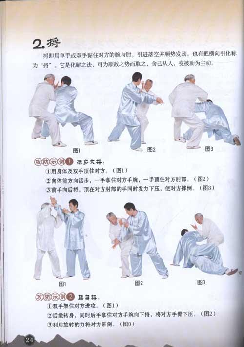杨式太极传统85式拳,太极武术,图书
