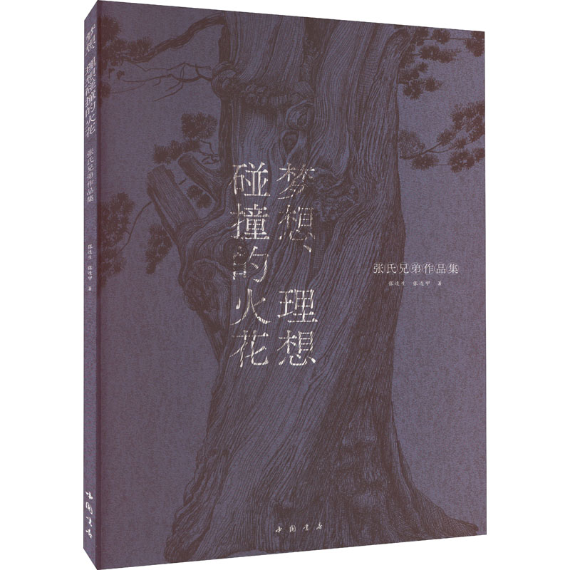  梦想、理想碰撞的火花 张氏兄弟作品集 