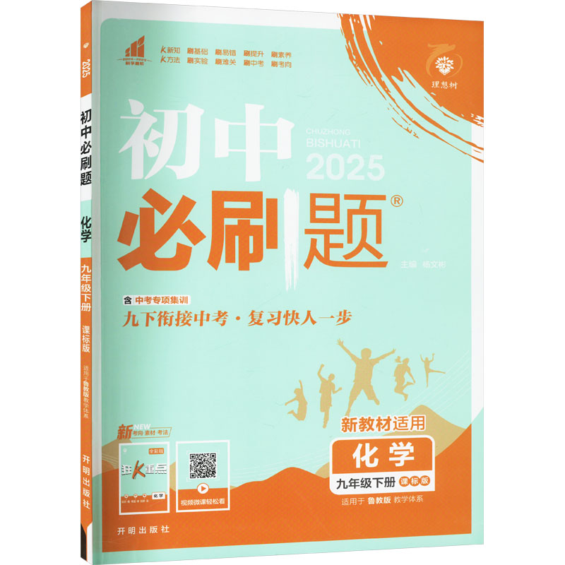  初中必刷题 化学 九年级下册 课标版 2025 初中必刷题 