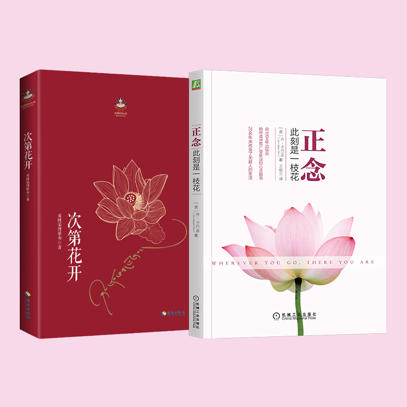  正念+次第花开 《次第花开》 来自希阿荣博堪布的现代心灵开示，改变了十几万人的生命轨迹。解开藏人精神愉悦的秘密，重塑心灵的力量!陈坤、张嘉译、任鲁豫、李修平、樊登、马未都、何东、程然盛情推荐!! 