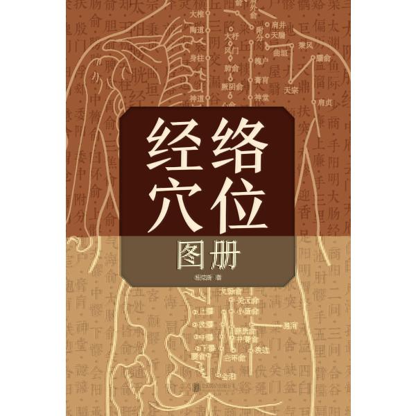 经络穴位图册