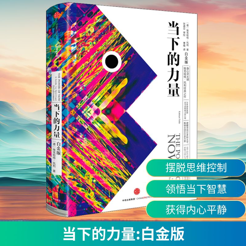 当下的力量 白金版