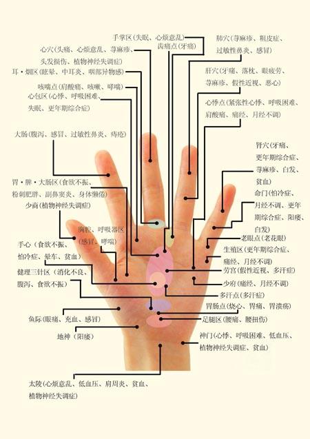 手解准确位置图和作用图片