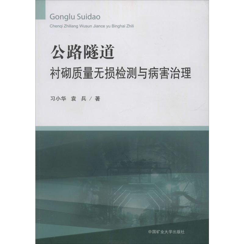  公路隧道衬砌质量无损检测与病害治理 