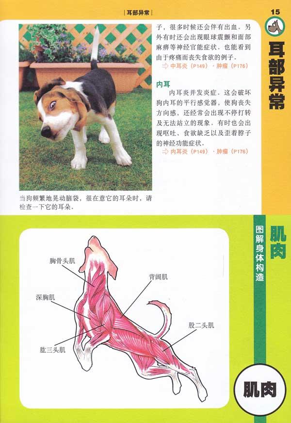 第二章 從寵物犬的症狀看疾病 呼吸器官疾病 消化系統疾病 內臟