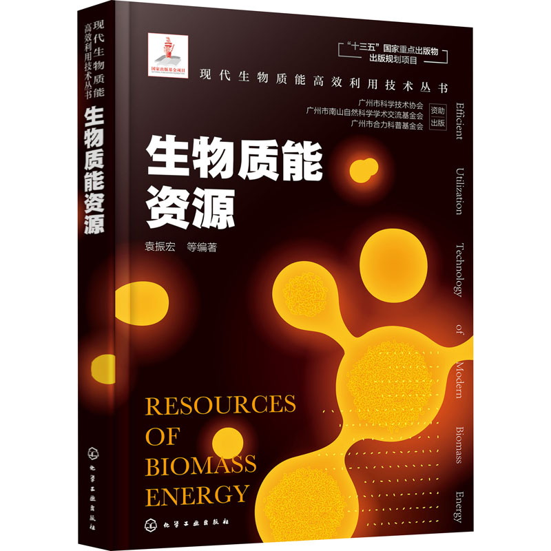  生物质能资源 一本详细阐述多种生物质能资源种类、资源量分布特征和利用潜力分析的生物质能高效利用图书。 