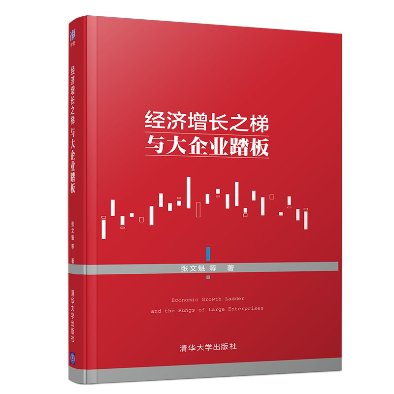 经济增长之梯与大企业踏板 国务院发展研究中心重点基础研究领域研究成果 