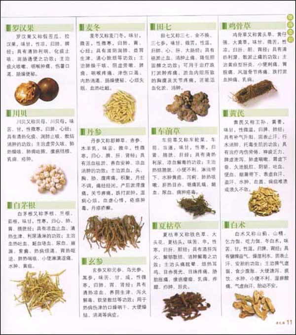 四季健康老火汤