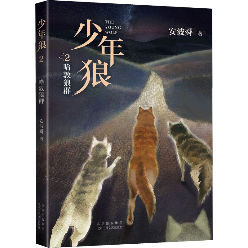 少年狼 2 哈敦狼群 知名作家、出版人安波舜长篇寓言小说第二部，中国版《狮子王》，让每个孩子学会自我成长，精美插图，四色印刷，适合亲子共读与大语文教育 