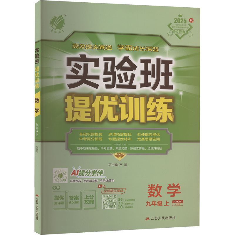  实验班提优训练 数学 九年级 上 RMJY 人教版 2025秋 