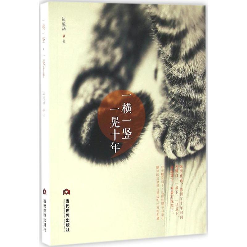 一横一竖,一晃十年