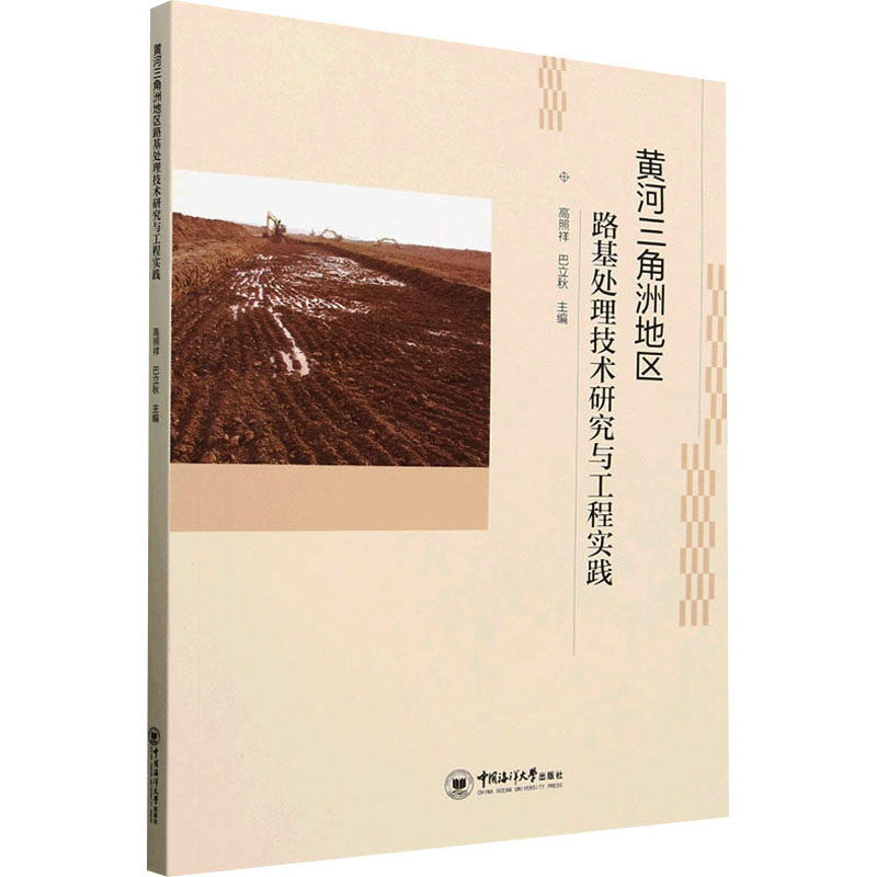  黄河三角洲地区路基处理技术研究与工程实践 