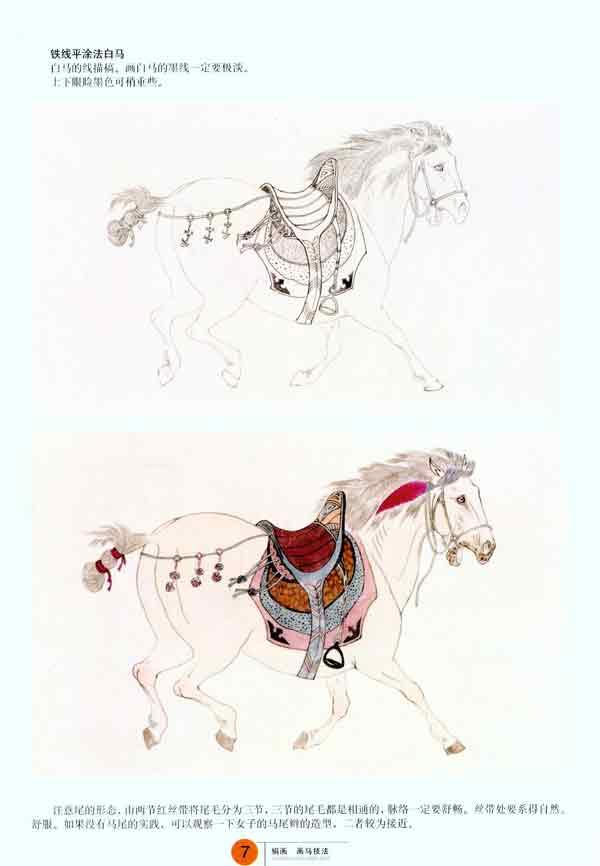 法画马的铅笔稿 铁线平涂法黑马 铁线平涂法白马  铁线平涂法菊花青马