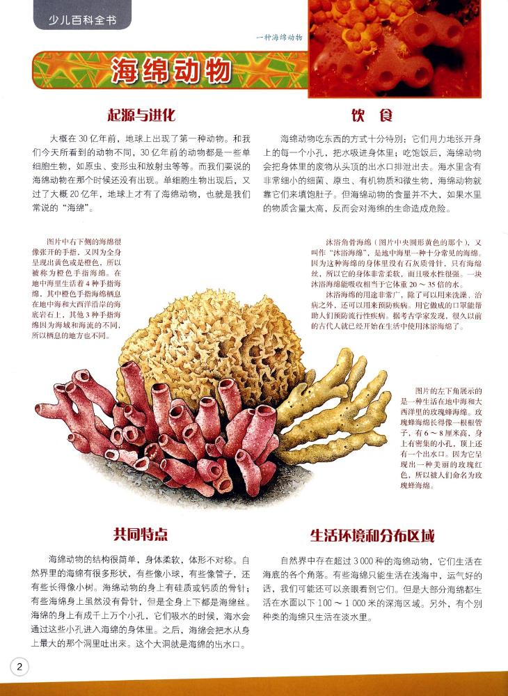 少儿百科全书61动物/少儿百科全书-意大利迪亚哥-普拉内塔出版社