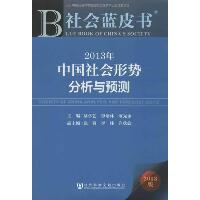 2013年中国社会形势分析与预测 2013版