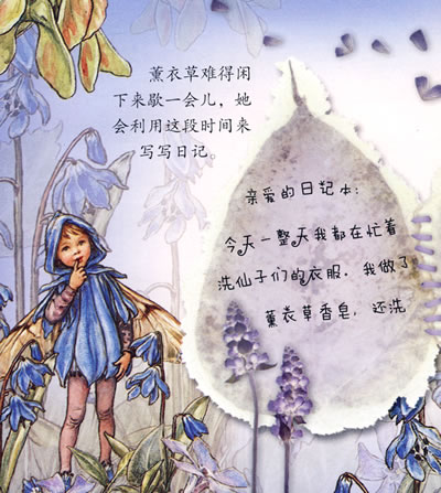 花仙子故事.薰衣草仙子找朋友